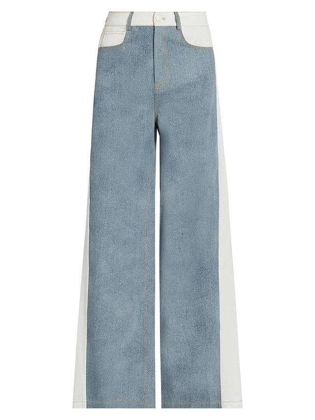 Womens Perrie Colorblocked Flared Jeans Product Image